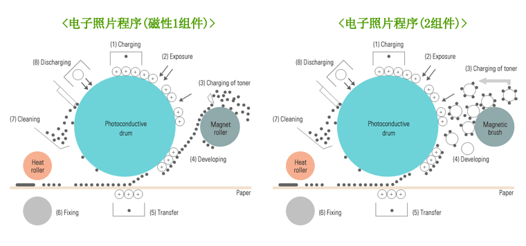<电子照片程序(磁性1组件)>                      <电子照片程序(2组件)>  